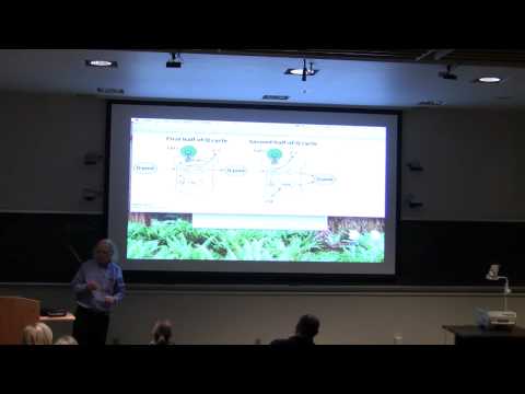 Review session for Exam 1 for Kevin Ahern's BB 451/551