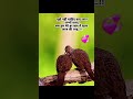 Ek Hi Ghosla Do Dilon Ka Short Video 3579