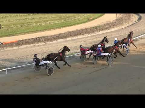 Trka "Sećanje na Predrag Pejin-Braca" 19.06.2021 Saphir AT - Miodrag Pantić