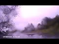 Geese knock down Sept 2019