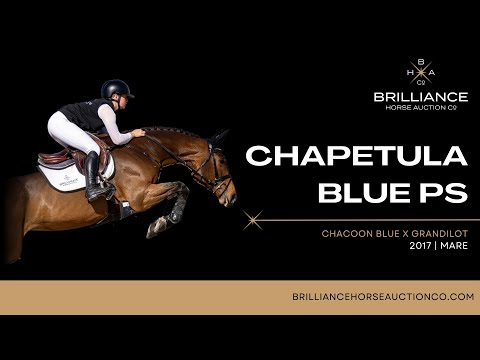 Chapetula Blue PS - Oliva Nova 2023