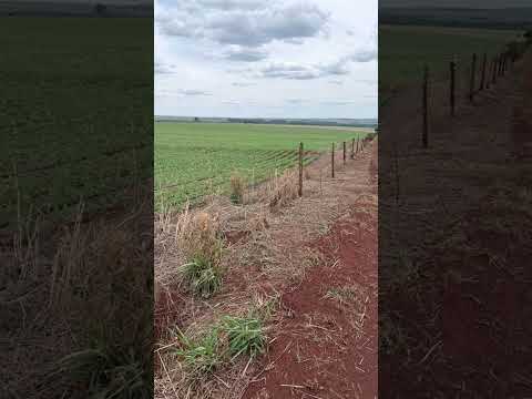 OPORTUNIDADE EM INACIOLÂNDIA-GO: 60 Alqueires à Beira do Rio Paranaíba