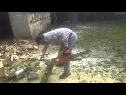 Ez volt a leggveknyab fa