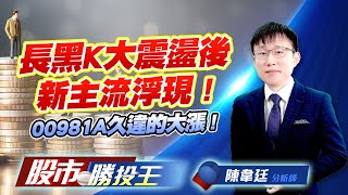 長黑K大震盪後新主流浮現 ! 00981A久違的大漲 ! #台積電 #00981A #0050 #鴻海 #緯創 (圖)