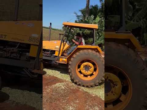 26 de janeiro de 2026