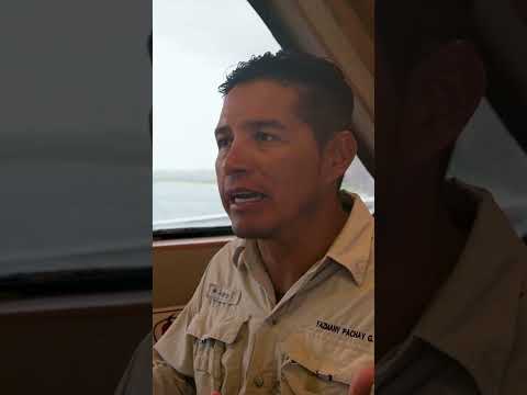 Yazmany: Galapagos Islands Guide, Hermes & Monseratt Galapagos Cruises #Shorts