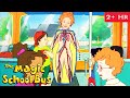 The Human Body Full Episodes The Magic School Bus Scholastic Classic