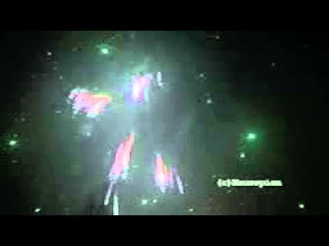 Celynder Shell 230mm der Hammer