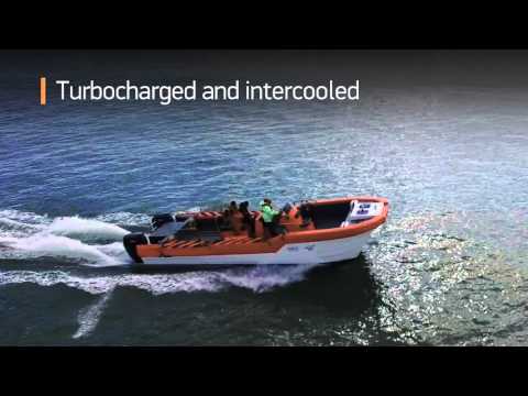 OXE Diesel 200HP, Marine Harvest Polarcirkel 785, Cheetah Marine 10m Catamaran