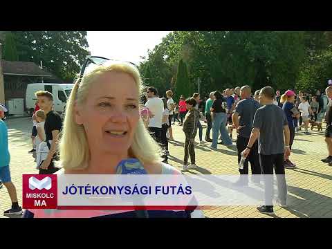 Videó előnézet