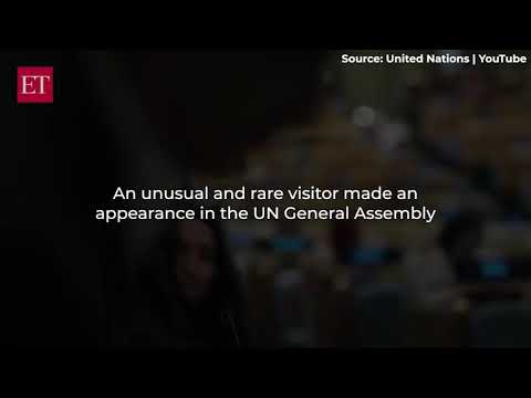 Don't choose extinction... Support United Nation appeal