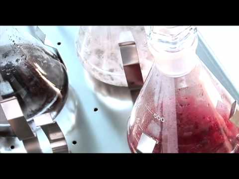 Piquadro - гарантия качества!