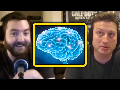 Have You Ever Been in a Fight or Flight Situation? | PKA Patreon AMA