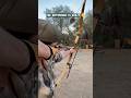 Recurve Vs Compound Bow Which Is More Accurate Bow Archery Compoundbow Recurvebow