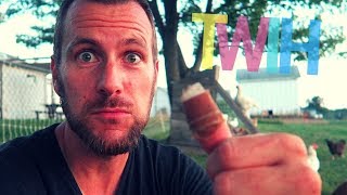 I Need Your Help... and Your Input!