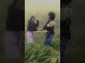 Laal Bindi ️ Akull Slowed Reverb Lyrics Punjabi Song Lofi Viralvideo