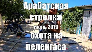 Ловля пеленгаса на арабатской стрелке
