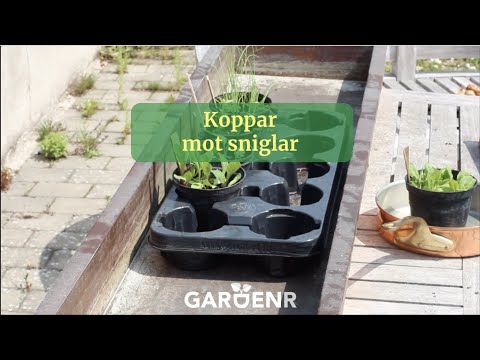 Copper against snails - Gardenhacks by GardenR