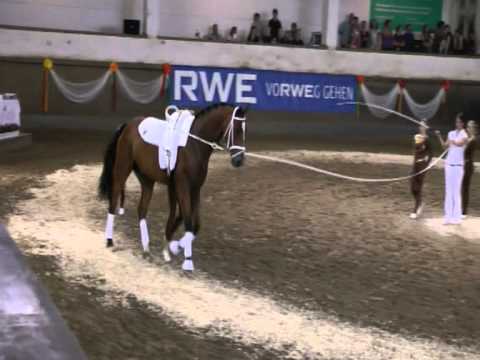 Juniorteam Voltigierzentrum Meerbusch Pflicht 2. Sichtung