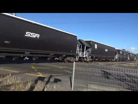 SSR Grain With Loco RL305-Rare Loco 602 And RL306