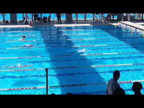 28 06 2015 MEETING REG  VERONA 100 MX ESORD BF