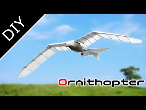 Amazing RC Ornithopter like a bird