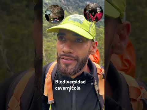 Biodiversidad cavernícola Aguada Santander