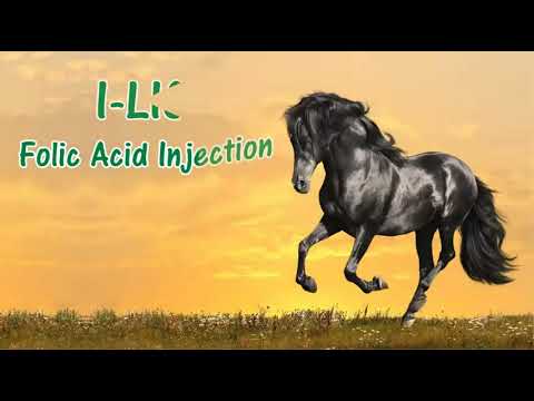 Veterinary Equine Injection