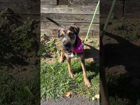 Nyla Youtube Video