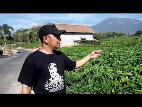 Potensi Desa Sambirobyong 01
