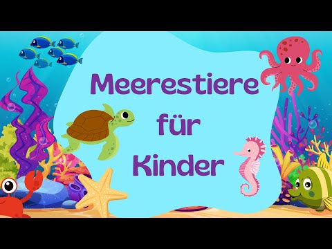 🐠🐙 Meerestiere für Kinder – Entdecke die Tiere im Meer! 🌊🐬