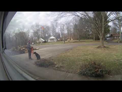 2020 February 23, Gus look at that