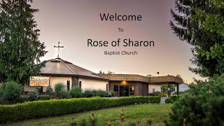 Righteous Retaliation