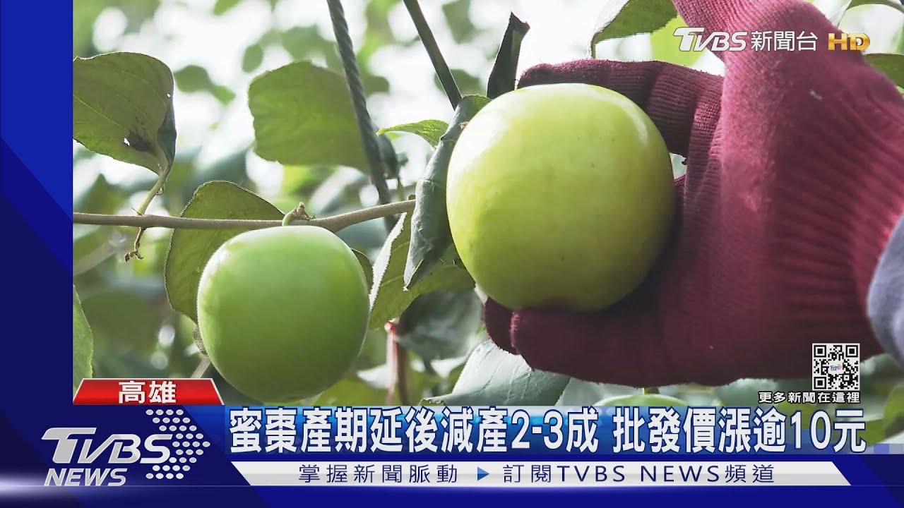 高屏蜜棗產期延後減產2至3成　批發價漲逾10元