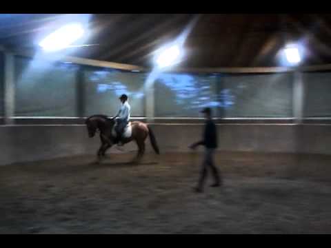 Dsp Araldik/Saccor/Korsar