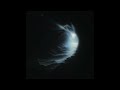 Reed Wonder, Aurora Olivas - Dark Matter