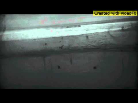 MCHRIS Acoustic Original - This She Knows (full ve