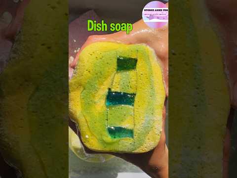 SPONGE ASMR VDK and Sassy sponges