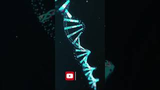 Canna Aids with HIV | #Canna #Aids #with #HIV | #cannabisdaily