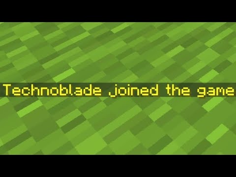 Technoblade Perfect Timing