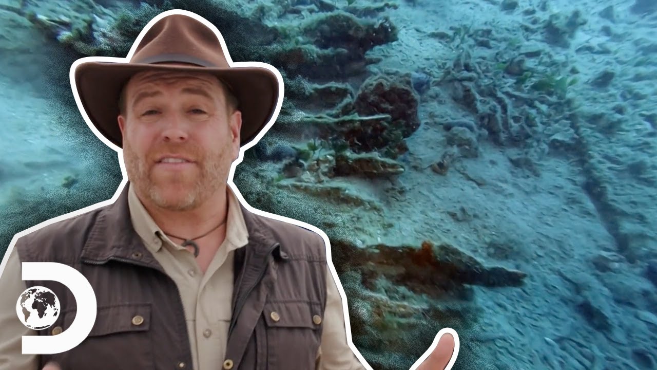 Thumbnail Download HD Thumbnail (1280x720)