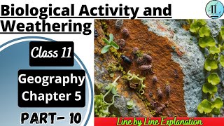 Biological Activity and Weathering | Geomorphic Processes | Class 11 Geography Chapter 5 NCERT UPSC