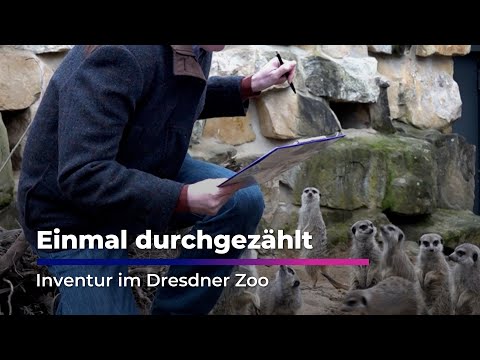 Einmal durchgezählt - Zoo Dresden macht Inventur I Sachsen Fernsehen