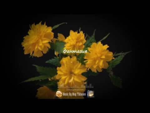 Фантазия (Музыка, Видео)