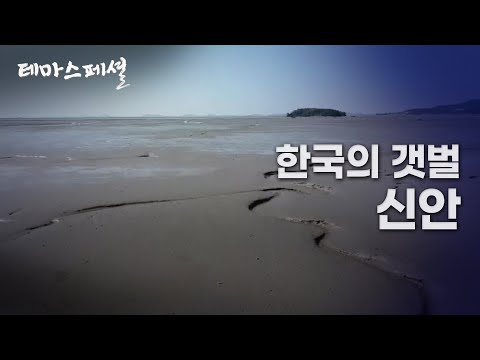 [테마스페셜] 한국의 갯벌_신안