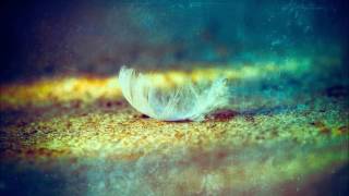 Max Richter - Entropy For Meg (The Leftovers)