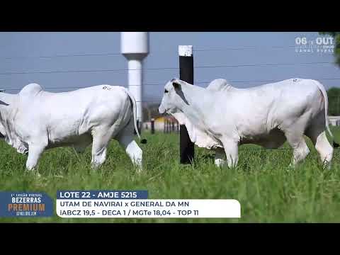 LOTE 22   AMJE 5160 e 5215