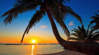 Wo  meine Sonne scheint