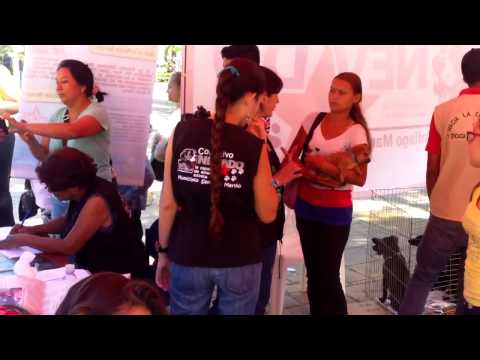 PROTECCIONISTAS ADOPTA  HACIENDO ESTE OPERATIVO NEVADO EN MARIÑO,TURMERO..