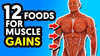 12 Best Foods For Muscle Building and Strength